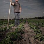 Een man staat zelfverzekerd in een groot veld met een schoffel met lange steel. De lucht is licht bewolkt, wat een dramatisch licht over de scène werpt. De rijen gewassen suggereren dat hij bezig is met het verzorgen van een boerderij, en de achtergrond bestaat uit verre bomen en een paar verspreide gebouwen.